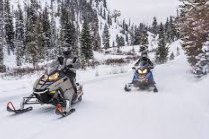 1.5-Hour Guided Snowmobiling Adventure - Getting There: Meeting Point on Île d’Orléans and Time Planning That Won’t Stress You Out