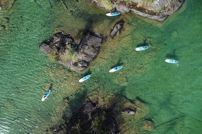 1.5 hour guided SUP tour on the pristine waters of Cowichan Lake - What the included SUP gear actually buys you