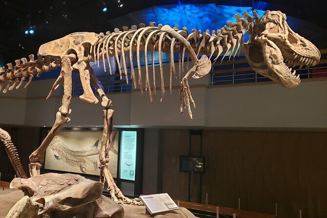 1 Day Drumheller Private Group Custom Tour: Calgary to Badlands - A smooth private day from Calgary to Drumheller and the Badlands