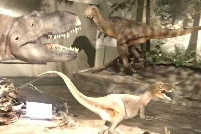 1 Day Guided Drumheller Tour: Calgary to Dinosaur Badlands - Stop 3: Royal Tyrrell Museum of Paleontology (2.5 Hours, Included)