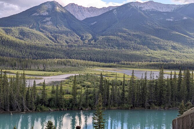 1 Day of Banff Viewpoints Lakes Bow Valley in Private Custom Tour - Backswamp and Johnston Canyon: wildlife chances plus real walking