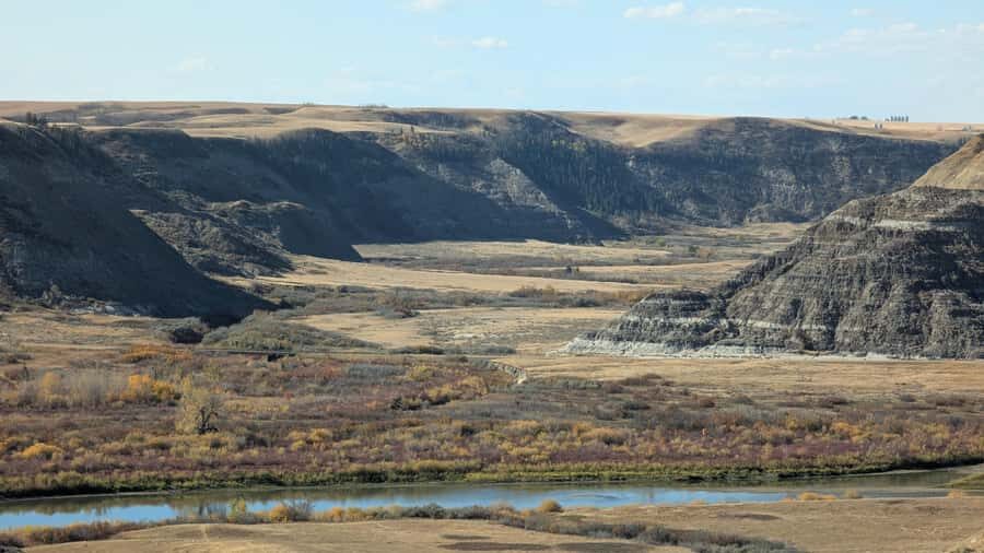 1 Day of Drumheller Dinosaurs and Badlands Guided Tour - Pace, Weather, and What to Wear for a Day of Walking and Climbing