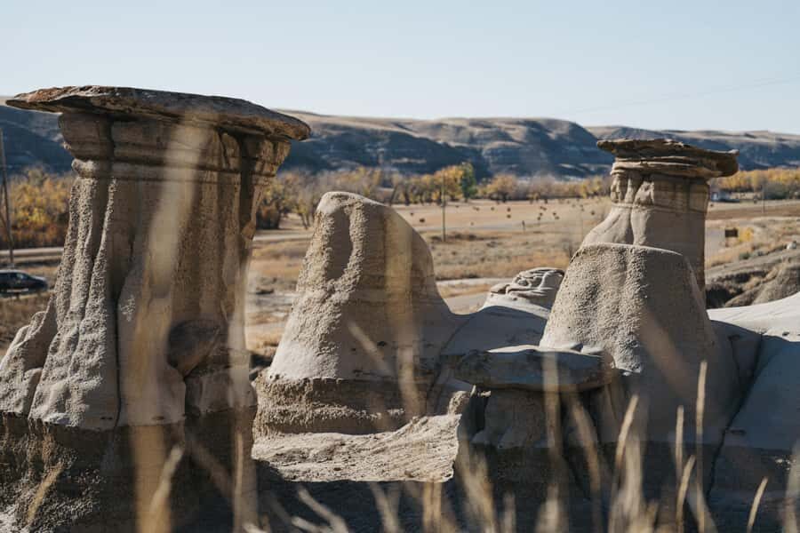 1 Day of Drumheller Dinosaurs and Badlands Guided Tour - Royal Tyrrell Museum: Fossils and a 4.5-Billion-Year Perspective