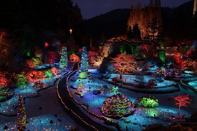 1 hour City Tour & Butchart Gardens: Christmas - Entry included! - The small-group setup: why 14 people changes the feel