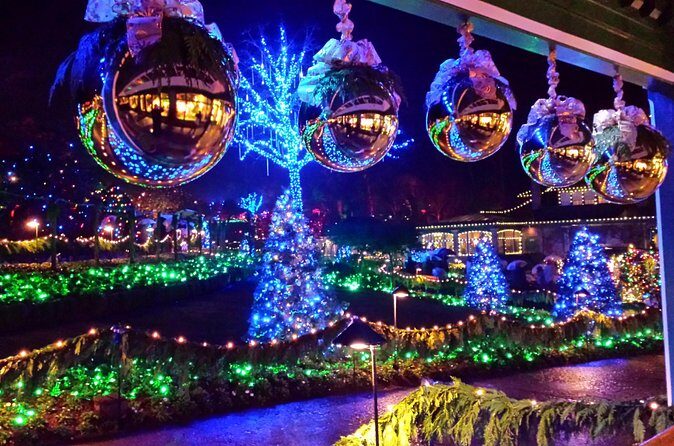 1 hour City Tour & Butchart Gardens: Christmas - Entry included! - Safety and comfort basics: seatbelts, kids, and what you should plan