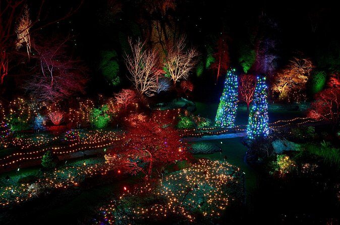 1 hour City Tour & Butchart Gardens: Christmas - Entry included! - Wheelchairs at Butchart: helpful option, but not fully automatic