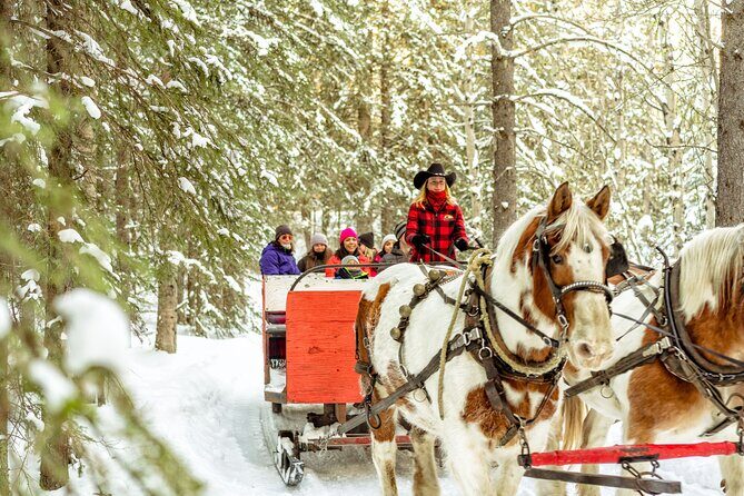 1 Hour Shared Winter Sleigh Ride Experience in Kananaskis - Key Highlights You’ll Actually Care About
