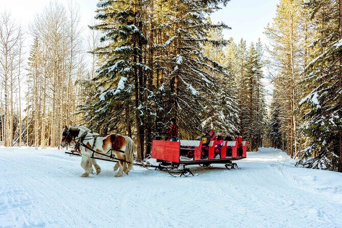 1 Hour Shared Winter Sleigh Ride Experience in Kananaskis - Boundary Ranch in Kananaskis: A 1-hour winter outing with real coziness