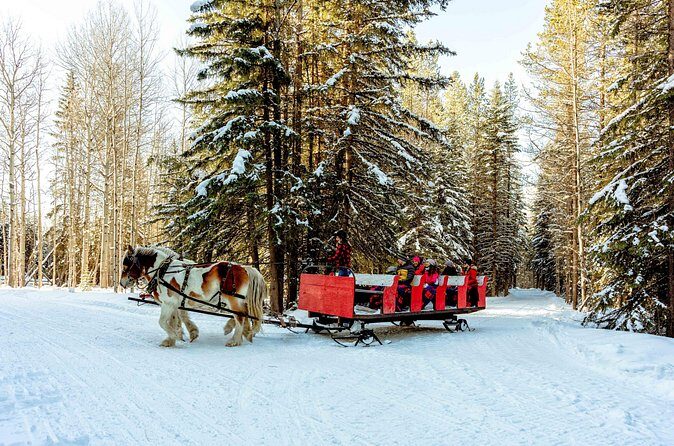 1 Hour Shared Winter Sleigh Ride Experience in Kananaskis - Shared-group timing: 16 people, good flow, and comfort choices