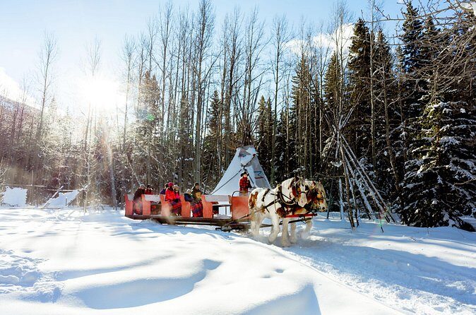 1 Hour Shared Winter Sleigh Ride Experience in Kananaskis - What this is best for (and who might want a different winter plan)