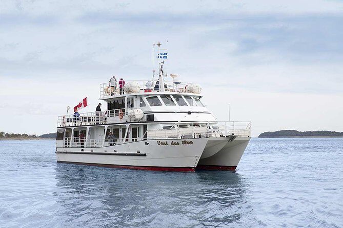 1000 Little Penguins Cruise - Key Things You Should Know Before You Go