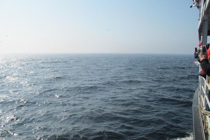 1000 Little Penguins Cruise - Stop 2: Isle-aux-Grues Archipelago And The 1,000 Little Penguins