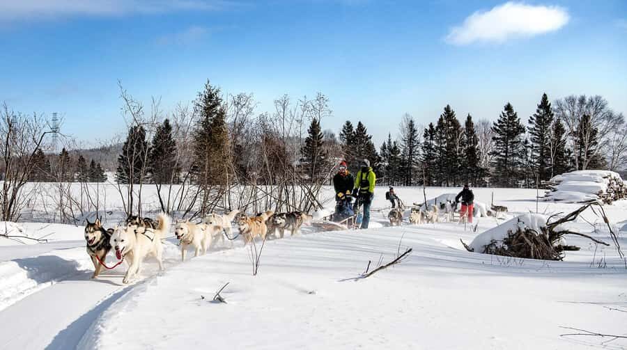 15 min. Tadoussac : Dog Sled Excursion in Saguenay Fjord - Key highlights that matter (and why)