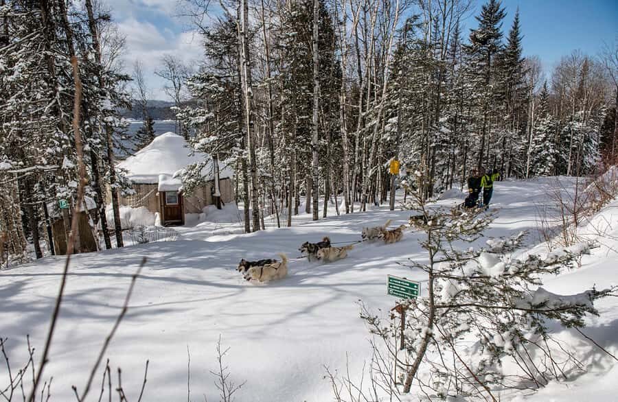 15 min. Tadoussac : Dog Sled Excursion in Saguenay Fjord - What happens before you ride: reception, training, and the 10-minute kennel walk