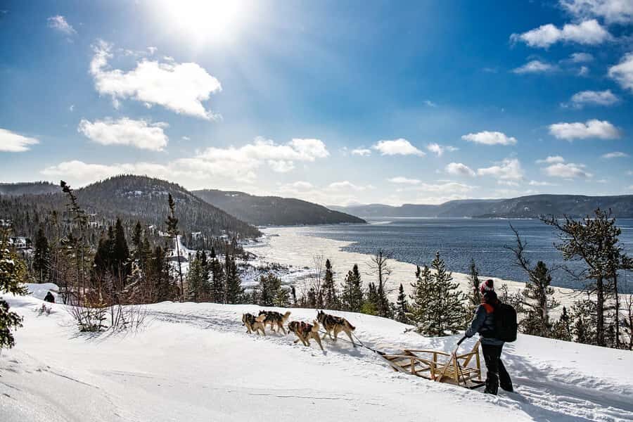15 min. Tadoussac : Dog Sled Excursion in Saguenay Fjord - Choosing the right option: Family Ride, Boreal Adventure, or Night Ride
