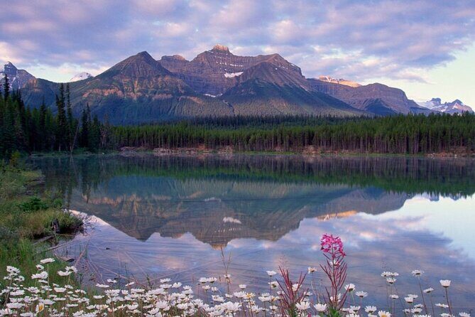 2-3 Days Lake Louise Moraine Gondola Johnston Canyon Icefield - How to handle crowds, weather, and real-world park timing