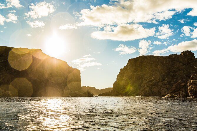 2 Hour Boat Tour in Twillingate - When the tour can run long: value, fairness, and what to plan for
