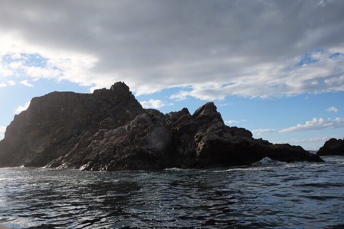 2 Hour Boat Tour in Twillingate - Price and value: is $112.66 worth it?
