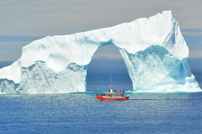2 Hour Boat Tour in Twillingate - Where you board and what the on-board setup means in real life