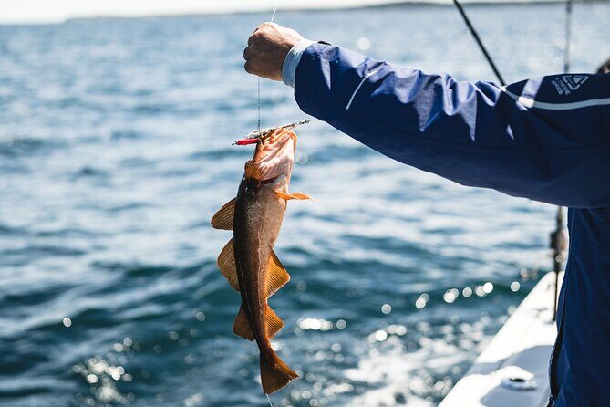 2 Hour Fishing Experience in Halifax - What You Get for $111.84: Value Beyond the Price Tag