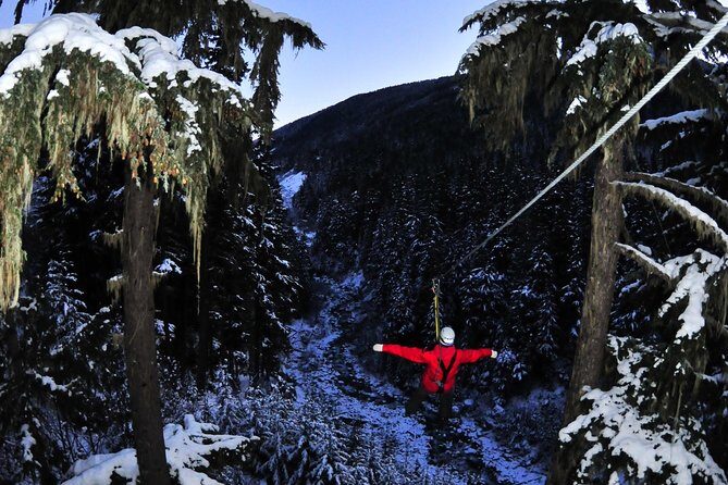 2 Hour Late Afternoon Winter Zipline Adventure - Why this late-afternoon winter zipline in Whistler feels special