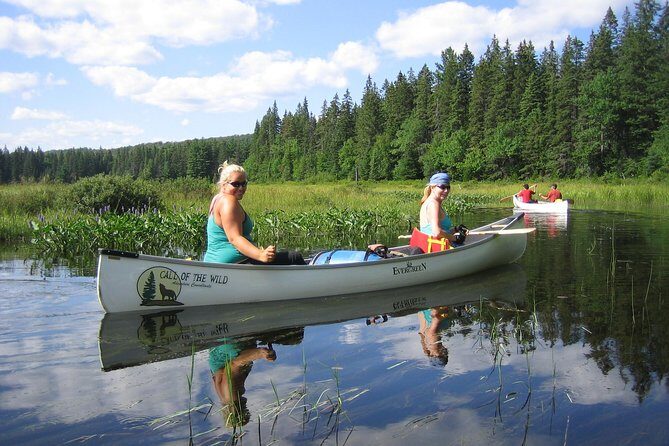 3-Day Algonquin Park Canoe Trip - Key highlights you’ll feel fast