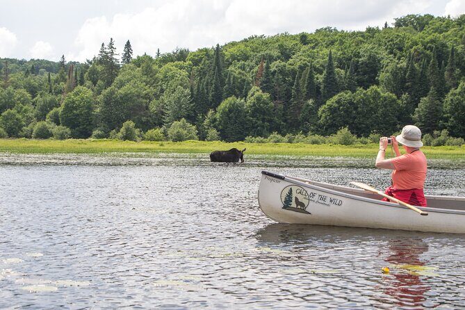 3-Day Algonquin Park Canoe Trip - Day 1 on Pen Lake: skills, a 300 m portage, and real camp