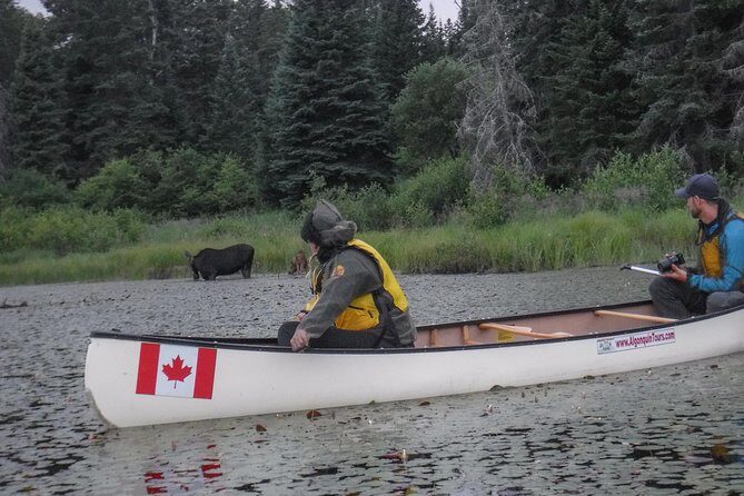 3 Day Algonquin Park Canoe Trip - Moose & Beaver Safari - Key things I’d focus on before you book