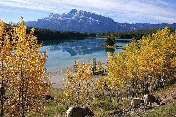 3-Day Rockies Express Tour Package: Banff, Lake Louise and Yoho - Day 2 in Banff: Gondola views, Bow River stops, and Johnston Canyon walking