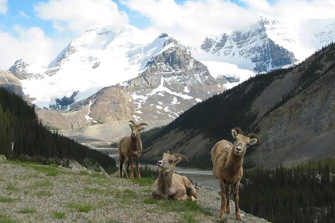 3 Day Rocky Mountains Columbia Icefields Banff and Yoho NP Tour - Day 3: Lake Louise and Moraine Lake Permit Timing, then Yoho’s Emerald Lake