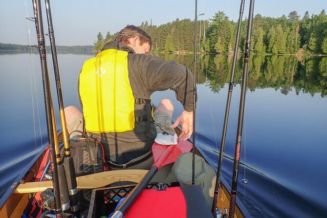 3 Hour Algonquin Park Bass & Trout Fishing (private- price is for 1 or 2 people) - Why this 7:00am private bass-and-trout trip feels different
