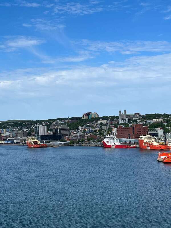 3 hour City Tour of St. John's, small group up to ten quests - Petty Harbour dock walk in Motion Bay: fishing boats up close