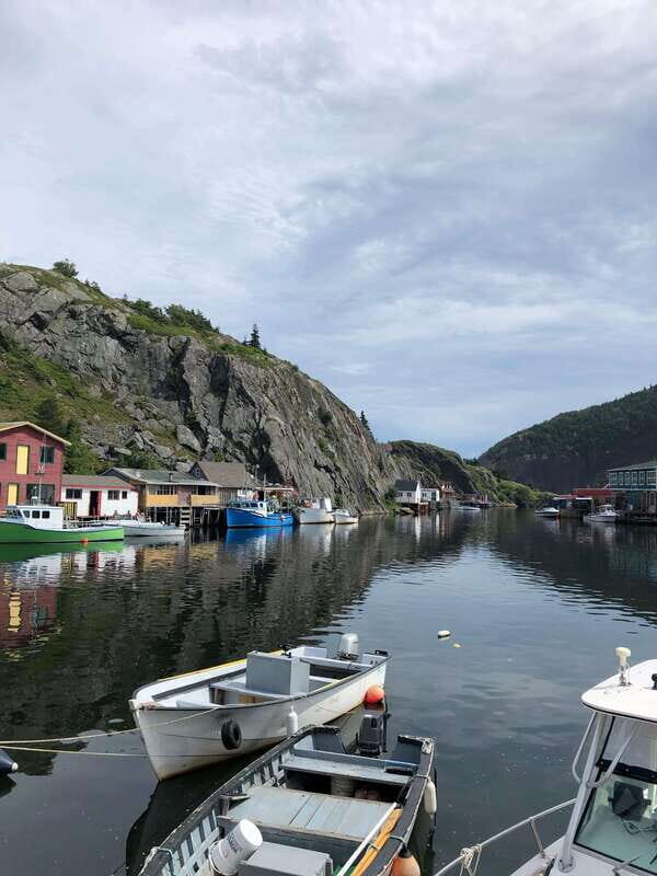 3 hour City Tour of St. John's, small group up to ten quests - Signal Hill and Cabot Tower: the view you plan your whole trip around