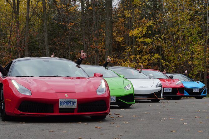 3 Hour Exotic car Tour driving 4 to 5 Super cars - Price of about $411.37: when it’s good value