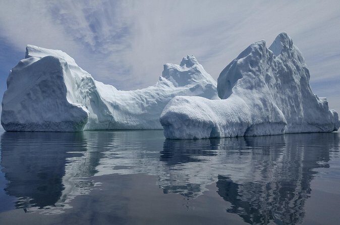 3 Hour Ocean Safari by Zodiac Boat -Whales & Icebergs seasonally - Stop 2 at Trinity Eco-Tours and Lodge: whales, dolphins, and seabirds