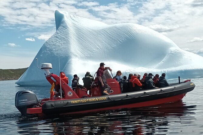 3 Hour Ocean Safari by Zodiac Boat -Whales & Icebergs seasonally - Getting there and what “3 hours” really means