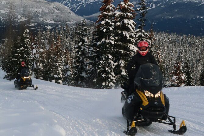 3 Hour Wilderness Adventure Tour in Whistler - Price and Value: Is $239.58 Worth It?