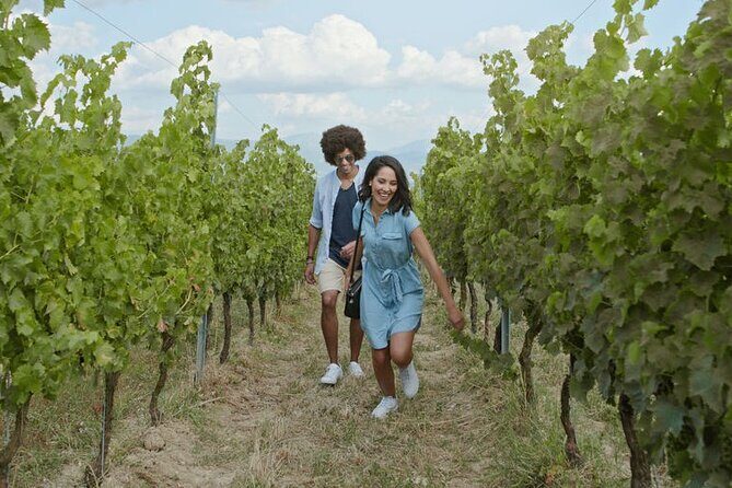 3 hours Wine Tour in Niagara-on-the-Lake - The Wineries: How the Three Listed Options Fit Together