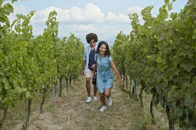 3 hours Wine Tour in Niagara-on-the-Lake - What Your Driver Adds Beyond the Ride