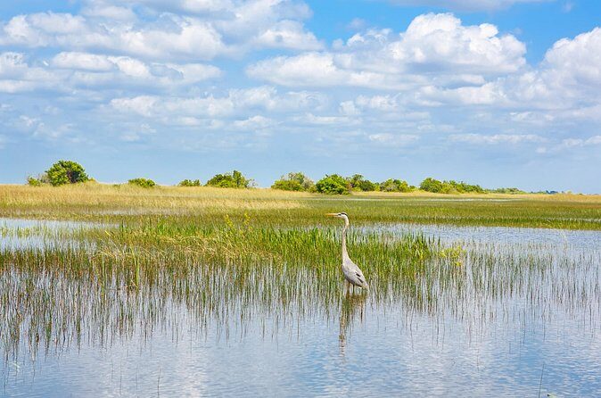 3h Boat Safari - Montreal’s Nature and Iconic Attractions Tour - Timing, Weather, and Why the 10:00 a.m. Start Helps