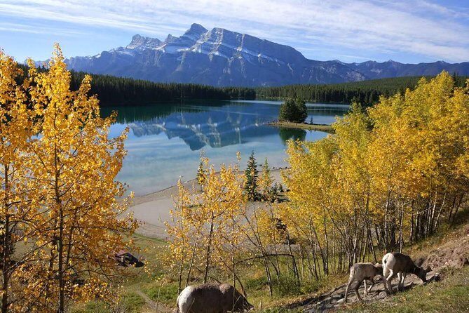 4-Day Banff, Lake Louise, Jasper, Icefield Packaged Tour - Day 1: Calgary orientation before the real Rockies