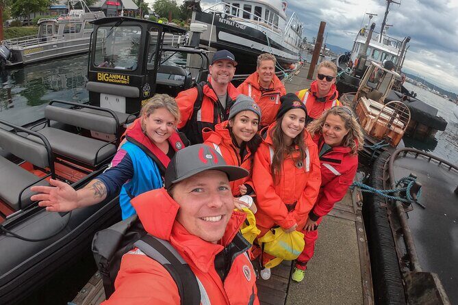 4 Hour Afternoon Whale Watching Tour - Your Zodiac Ride: Speed, Safety, and the Suit That Saves the Day