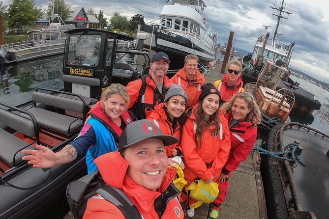 4 Hour Morning Whale Watching Tour - Safety and comfort: survival suits on a high-speed zodiac