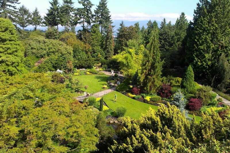 4-Hour Private Tour of Vancouver's Gardens - The Cadillac ride and the private-guide setup: comfort, but also clarity
