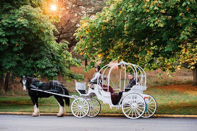 45-Minute By The Park Tour - Beacon Hill Park, by slow trot: what you’ll see and why it works