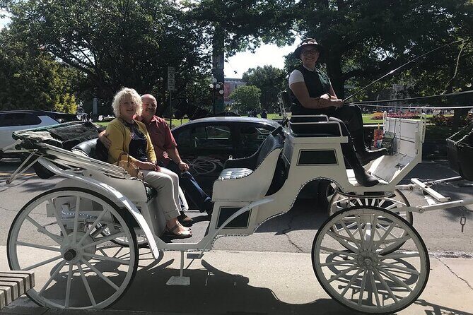 45-Minute By The Park Tour - Private group up to 6: comfort, pace, and why this isn’t just a rideshare