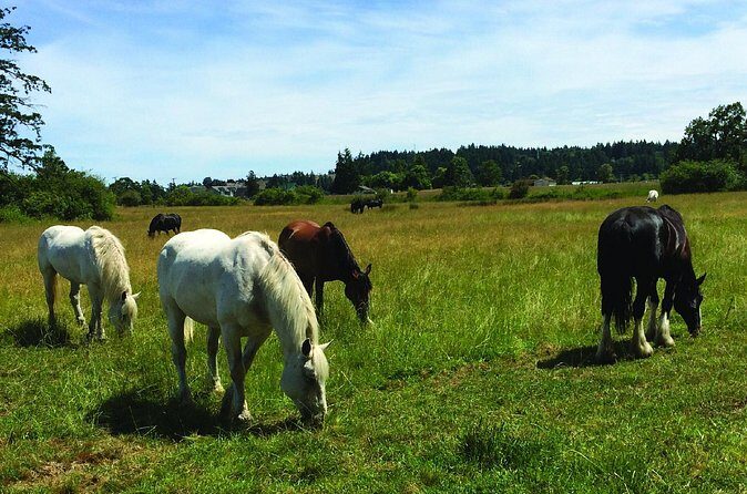 45-Minute By The Park Tour - What makes the James Bay pieces worth it (not just a scenic detour)