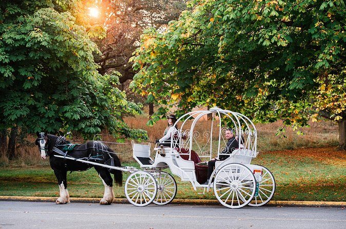 45-Minute By The Park Tour - Price and value: $180.25 per group, up to 6 people