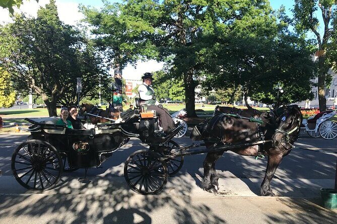45-Minute By The Park Tour - Practical tips so your ride feels smooth