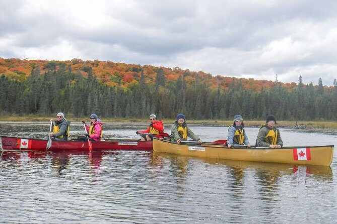 6 Hour Algonquin Park Canoe Trip - Swimming and cliff jumps: optional thrills with real-world safety limits